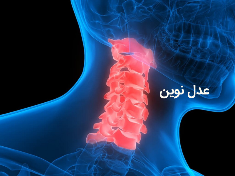 دیه قطع نخاع